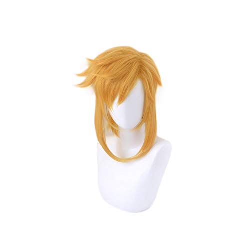 ydound Anime Coer Wig. Die Legende von Zelda Atem des Wildlinks Golden Kurzer Pferdeschwanz Perücke Cosplay Kostüm Hitzebeständige synthetische Haarperücken von ydound