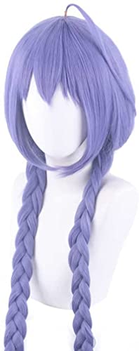 ydound Anime Coser Anime Cosplay Perücke, Arbeitslose Reinkarnation Roxy Migurdia Perücke, 100CM Lila Lange Perücke, Mit Gratis Perückenkappe, for Party Tägliche Halloween Cosplay Perücke von ydound