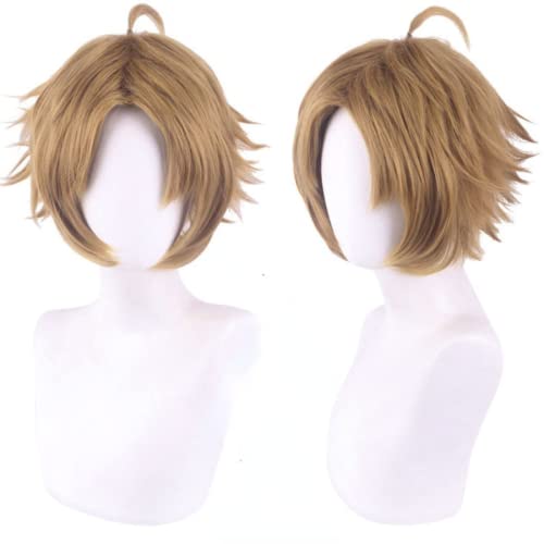 ydound Anime Coser Anime Cosplay Perücke, arbeitslose Reinkarnation Rudeus Greyrat Perücke, Kurze braune Perücke, mit gratis Perückenkappe, for die tägliche Halloween-Cosplay-Perücke von ydound