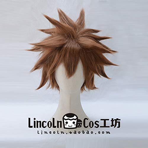 ydound Anime Coser Wig Anime Kingdom Hearts Sora Cosplay Wig Brown Shorts Synthetic Hair Halloween Costume Wigs + Wig Cap von ydound