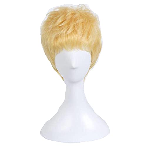 ydound Anime Coser Wig Persona 5 Ryuji Sakamoto Cosplay Perücke Männer Kurze Perücke Gelb Cosplay Anime Cosplay Perücke Hitzebeständige Kunsthaarperücken Halloween von ydound