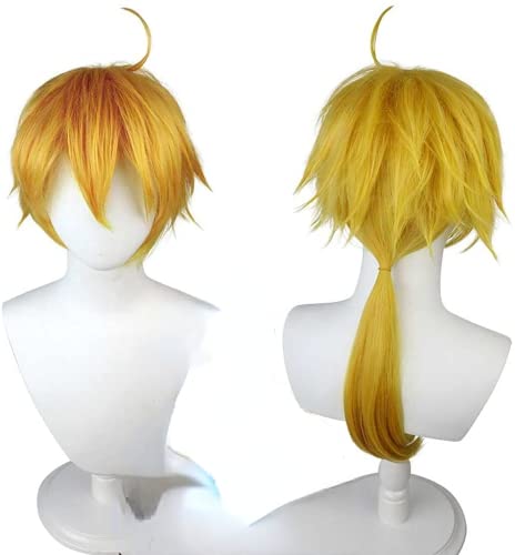 ydound Wig Anime Cosplay Anime Cosplay Perücke, Genshin Impact Thoma Cosplay Perücke, mit Gratis Perückenkappe, for Halloween Party Halloween Karneval mit Perücke von ydound