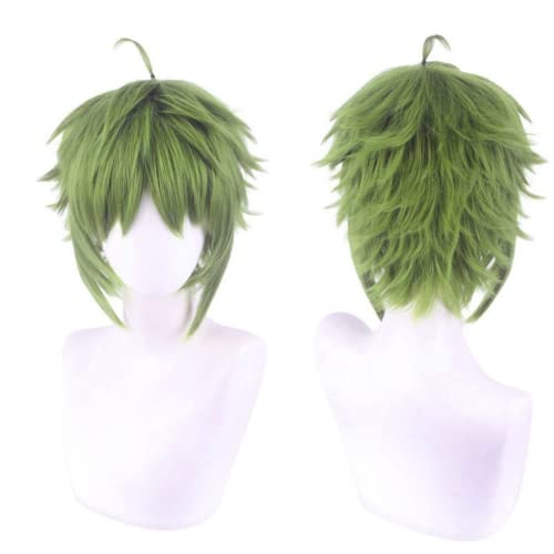 ydound Wig Anime Cosplay Anime Cosplay Perücke, arbeitslose Reinkarnationsperücke, kurzes grünes Haar for Sylphiet Greyrat Rollenspiel Halloween Party Perücken mit Perückenkappe von ydound