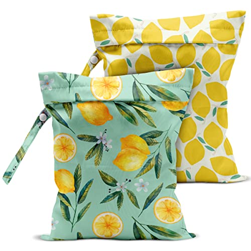 2 Stück Nassbeutel, nasse Trockentasche, Nassbeutel für Badeanzug, Reisen, Strand, Pool, Kinderwagen, Windeln, schmutzige Yoga-Fitnessstudio-Kleidung, Toilettenartikel, 12.6”x10.2”, Aufbewahrung von zcyxuuw