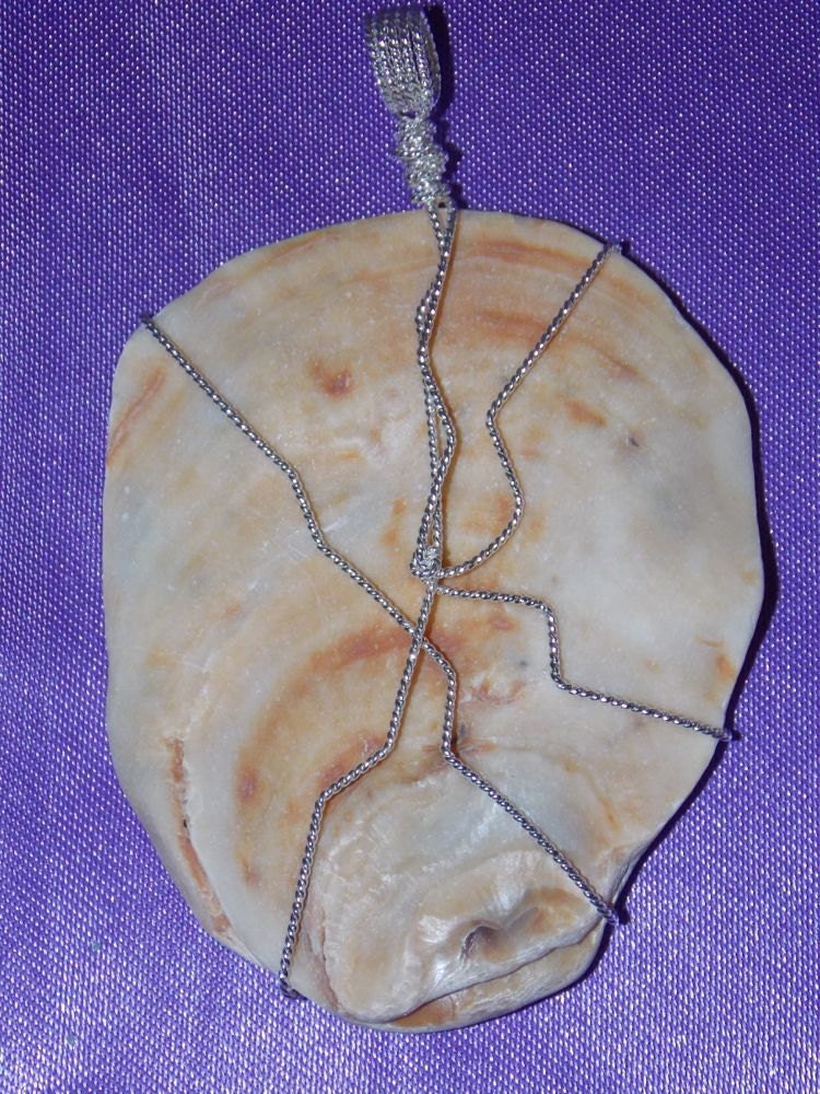 Shell-Fragment-Anhänger Shell-Fragment-Anhänger von ztwistdesigns